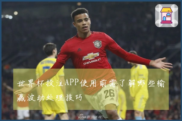 世界杯投注APP使用前需了解哪些输赢波动处理技巧