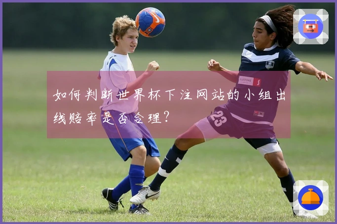 如何判断世界杯下注网站的小组出线赔率是否合理？