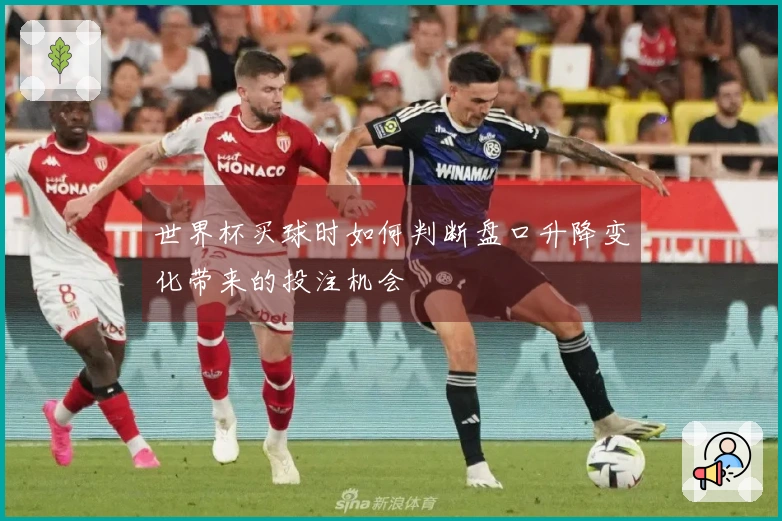 世界杯买球时如何判断盘口升降变化带来的投注机会